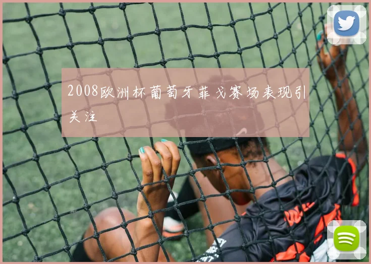 2008欧洲杯葡萄牙菲戈赛场表现引关注