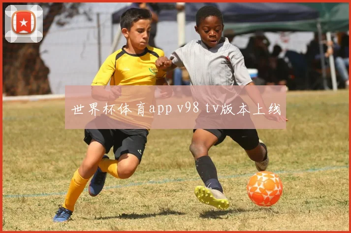 世界杯体育app v98 tv版本上线