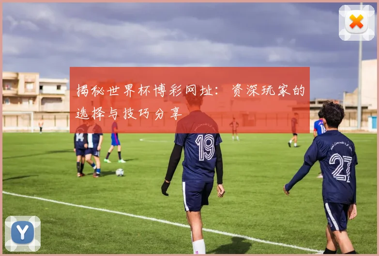 揭秘世界杯博彩网址:资深玩家的选择与技巧分享