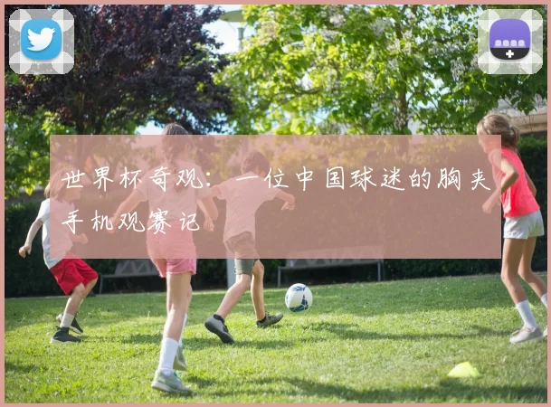 世界杯奇观:一位中国球迷的胸夹手机观赛记