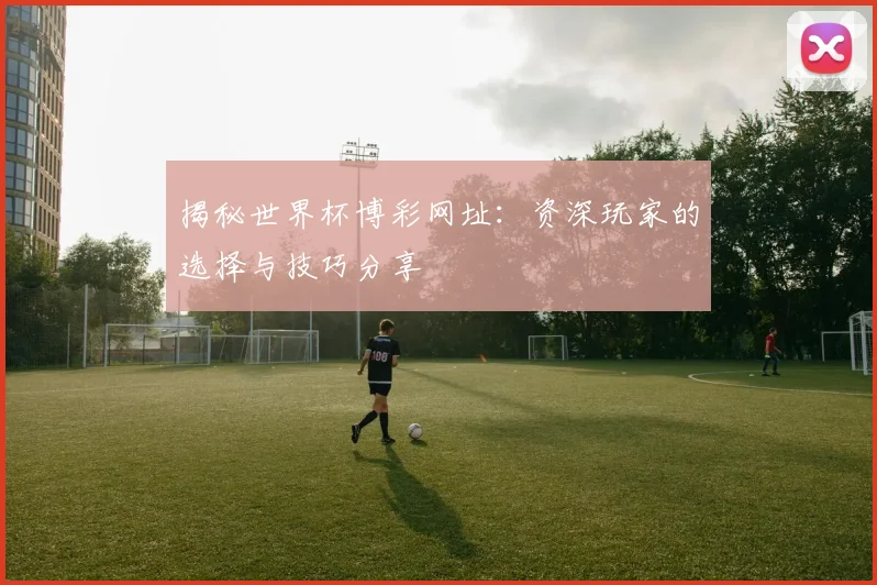 揭秘世界杯博彩网址:资深玩家的选择与技巧分享