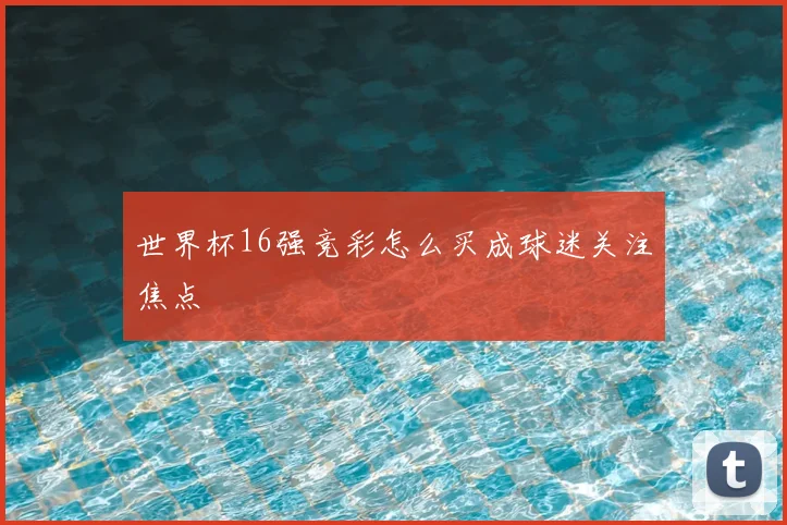 世界杯16强竞彩怎么买成球迷关注焦点