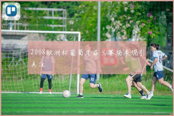 2008欧洲杯葡萄牙菲戈赛场表现引关注