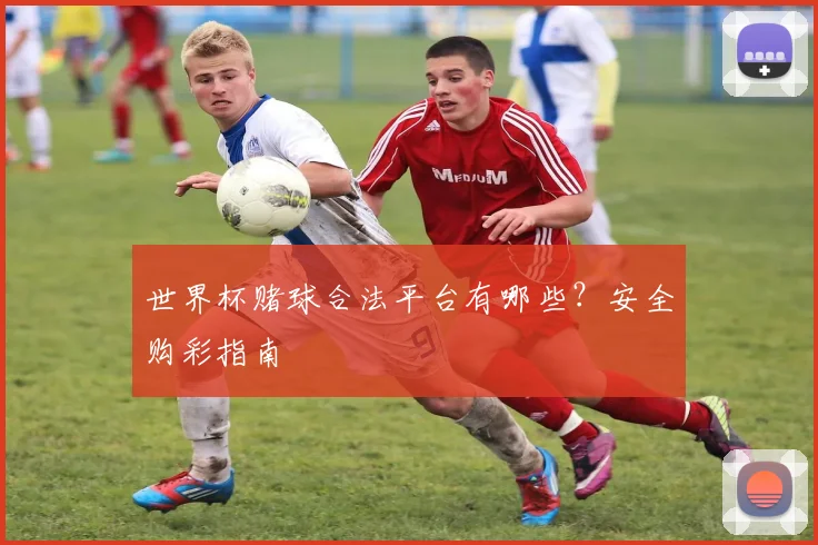 世界杯赌球合法平台有哪些？安全购彩指南