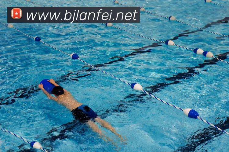 App Interface Preview