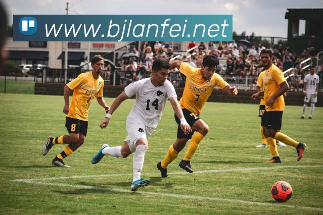 买球官方APP 封面图